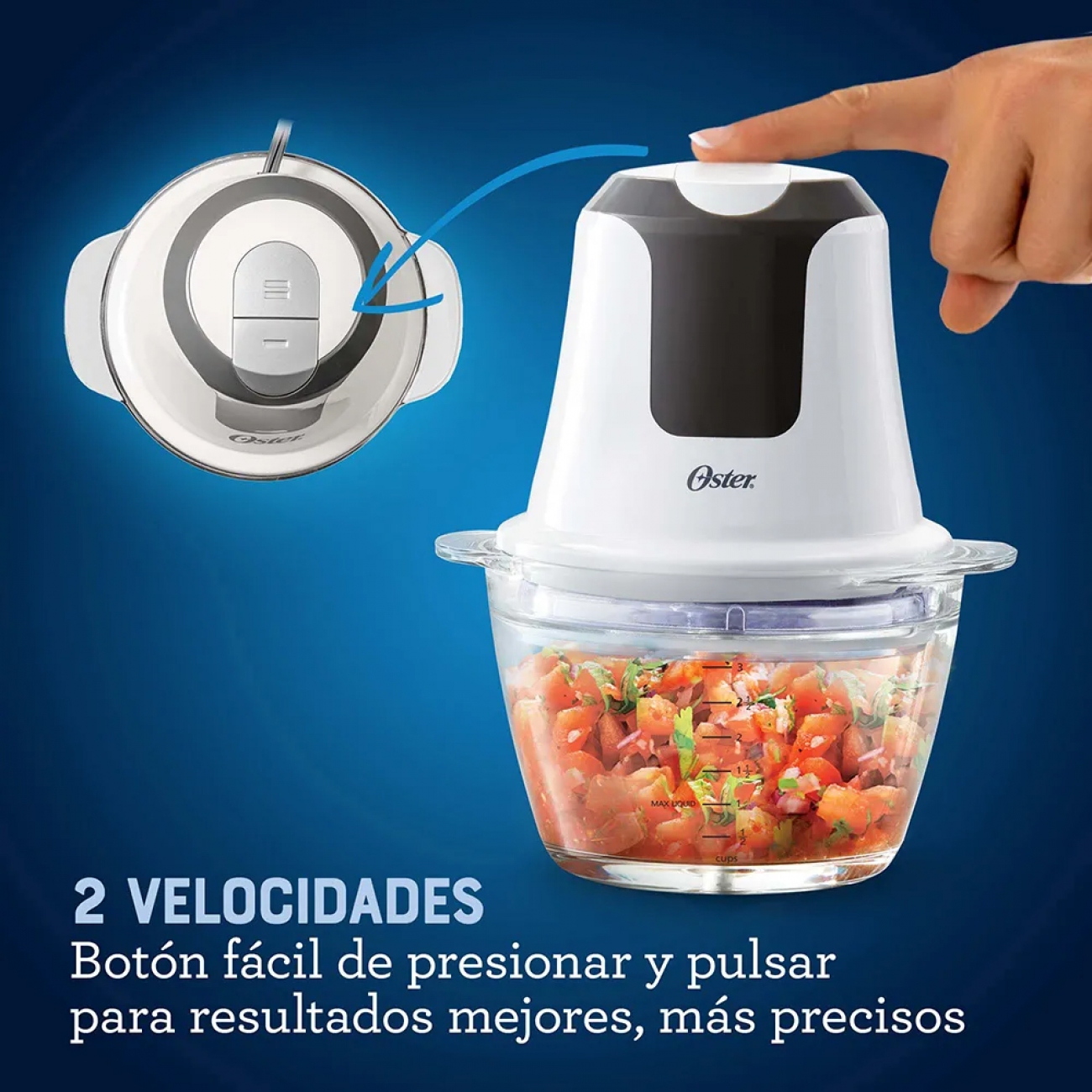 Imagen Picadora De Alimentos Oster Fpstfp3340 250w Vidrio