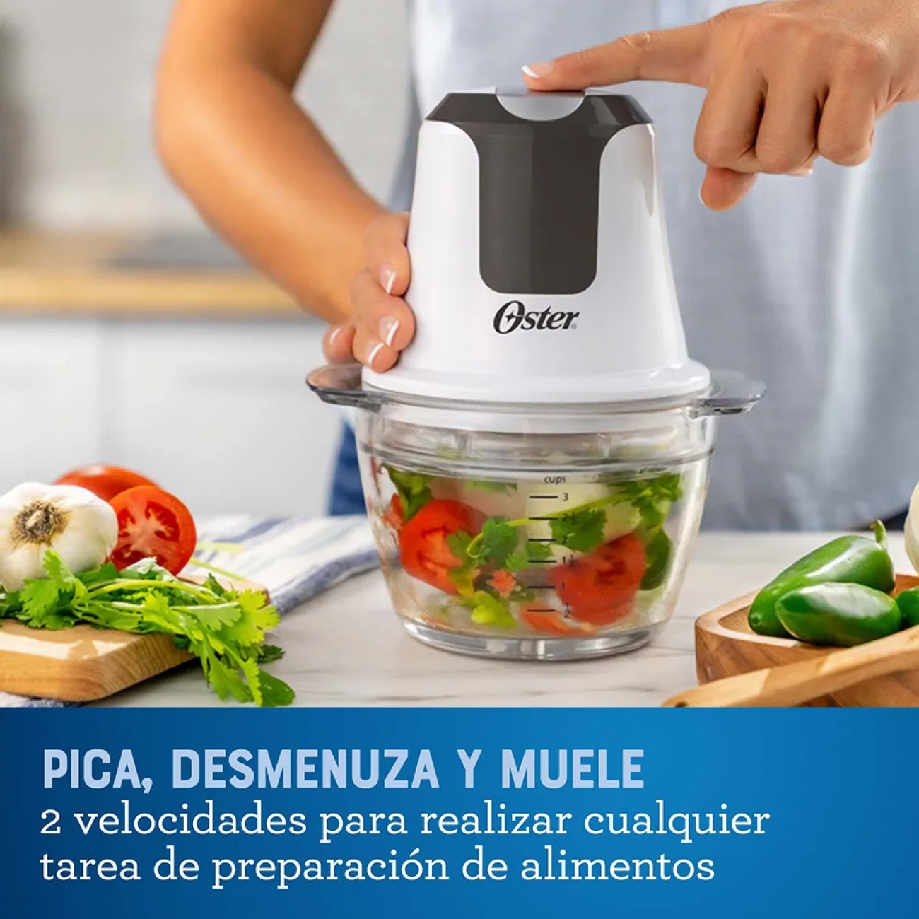 Imagen Picadora De Alimentos Oster Fpstfp3340 250w Vidrio